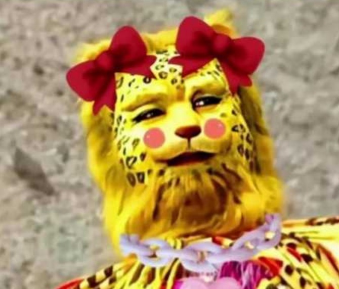 意外走红的金钱豹做梦也想不到，金钱豹头像分享