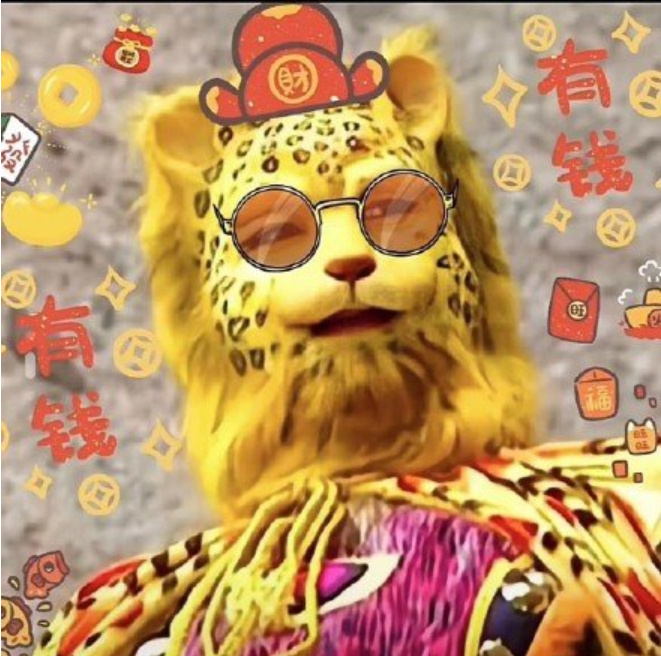 意外走红的金钱豹做梦也想不到，金钱豹头像分享