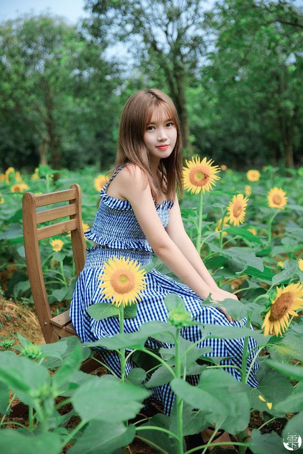 向日葵的少女-唯美女生