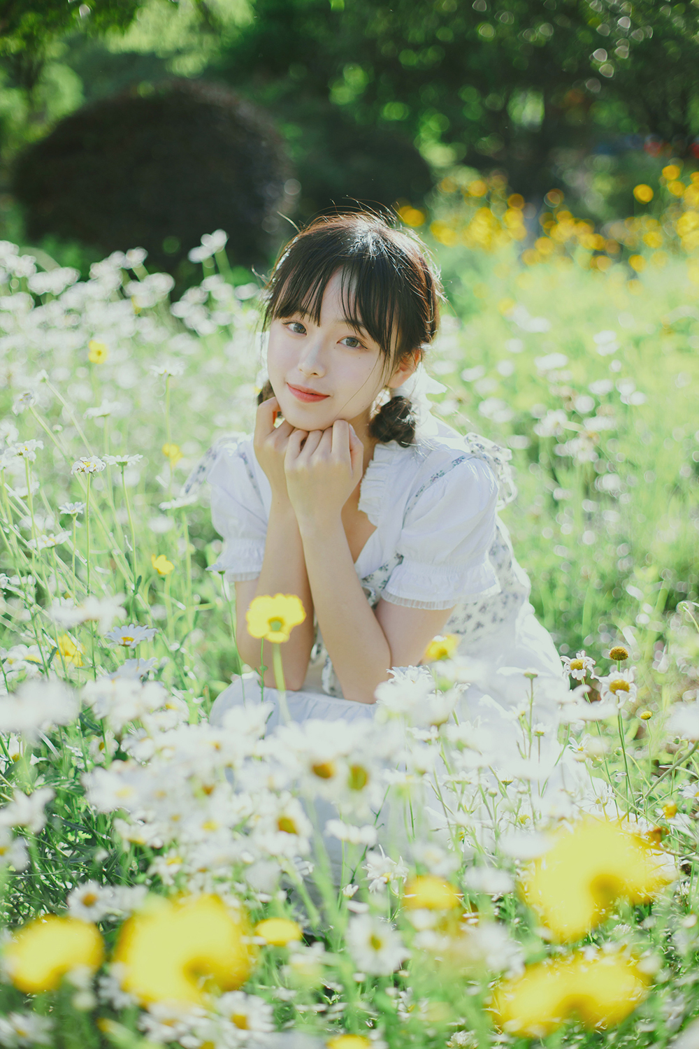 【福利】初夏の小雏菊Ⅱ-赤域吧