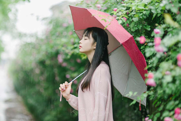 雨中蔷薇-唯美女生
