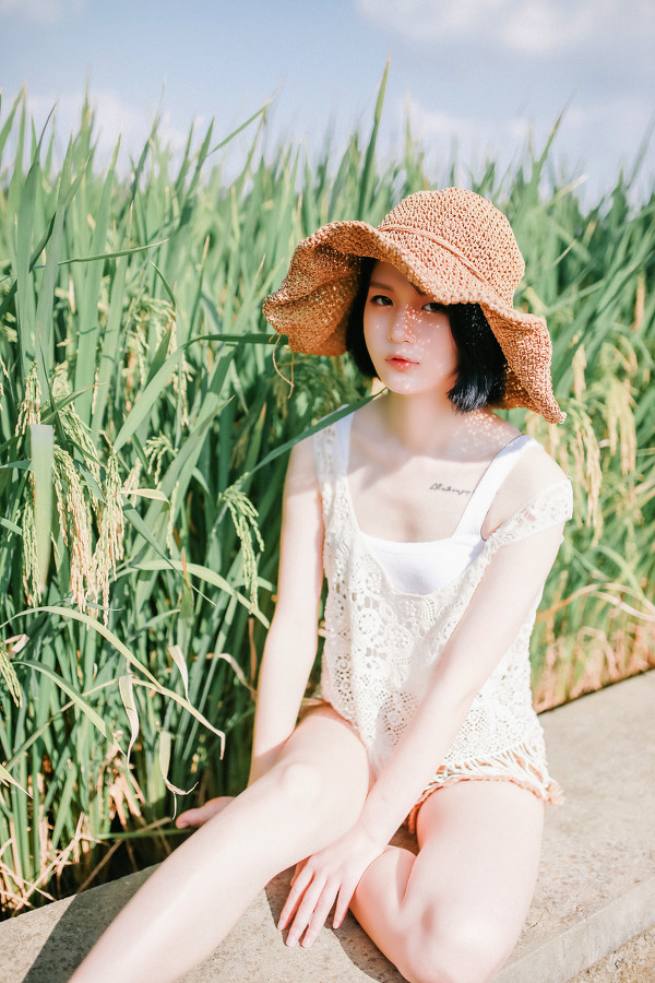 稻田里的夏天